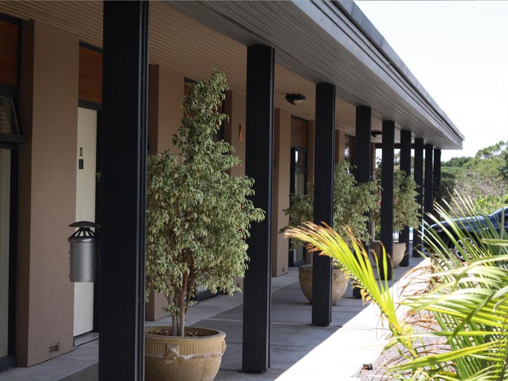 Tonsley Hotel أدليد المظهر الخارجي الصورة